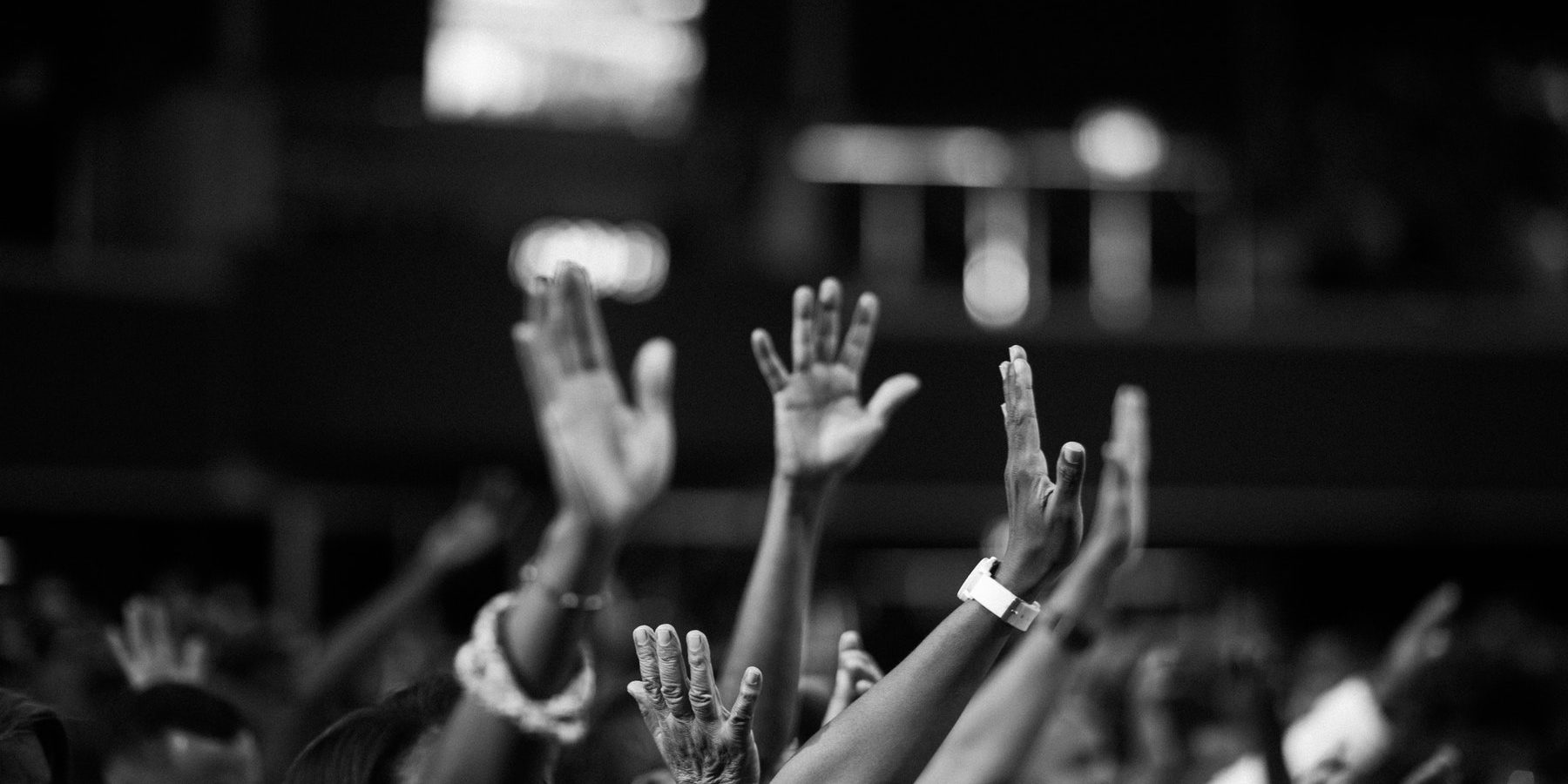 WORKERS audience-black-and-white-blur-2014775 (1)