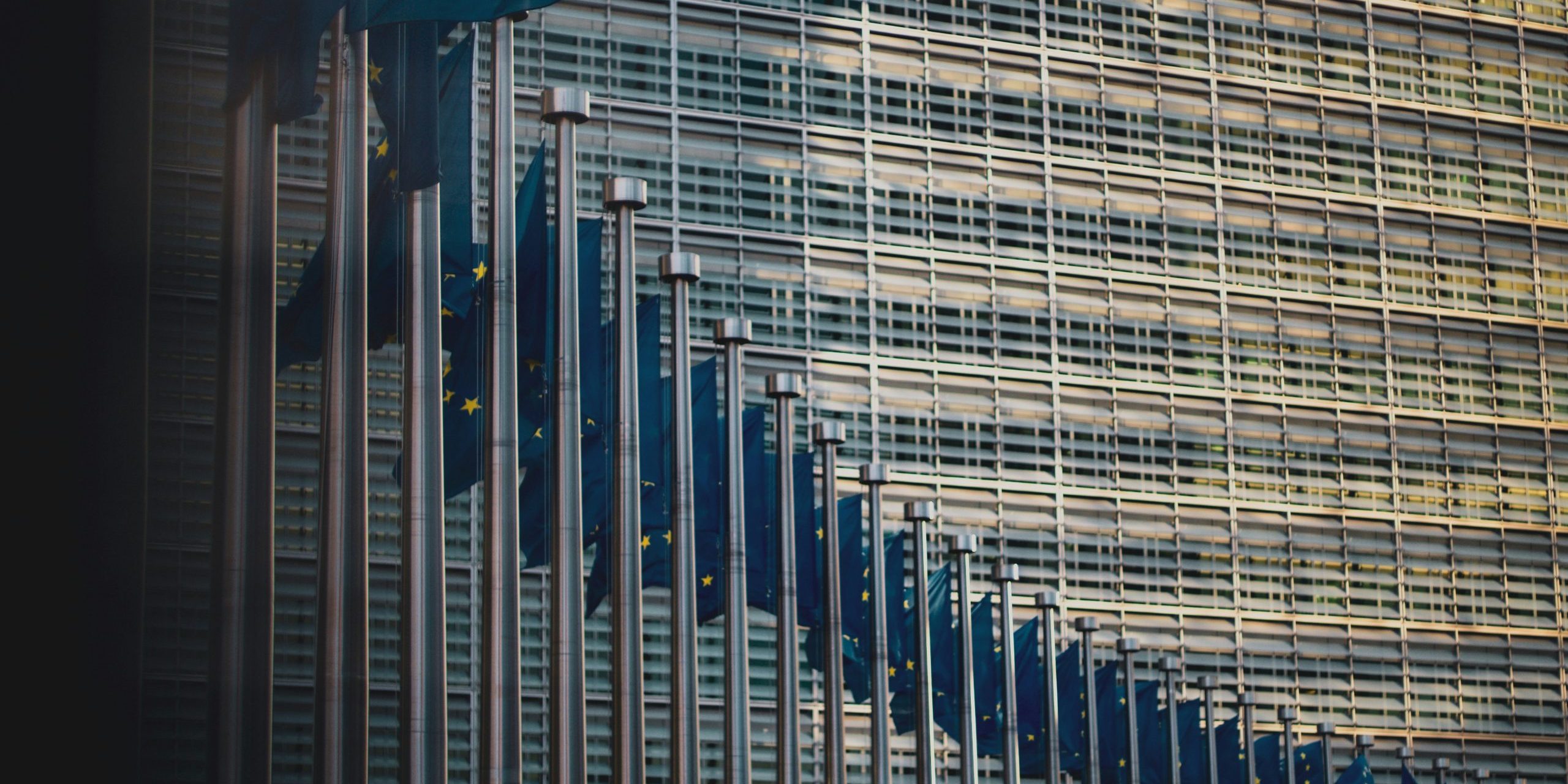 christian-lue-MZWBMNP7Nro-unsplash christian-lue-MZWBMNP7Nro-unsplash